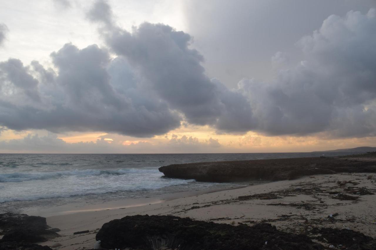 Arena Condos Aruba - 250 m from Eagle Beach Palm Beach Exterior foto
